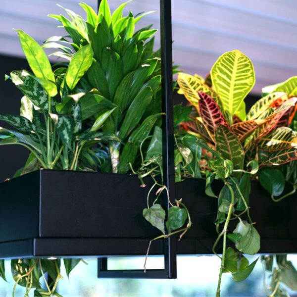 Plantenlamp Oslo - Afbeelding 5